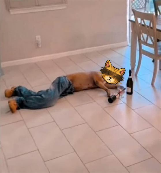 The cat on the floor beside a glass