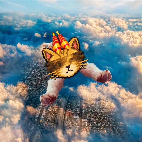 The cat in the air