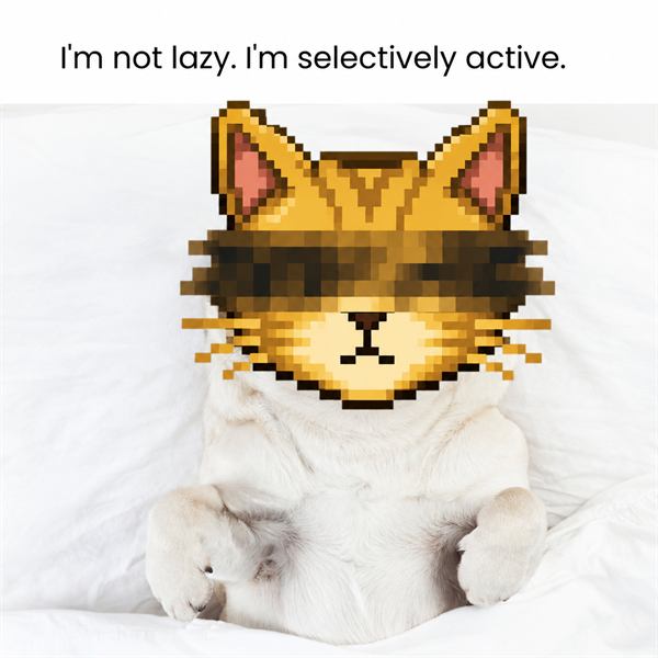The cat lying down, not moving