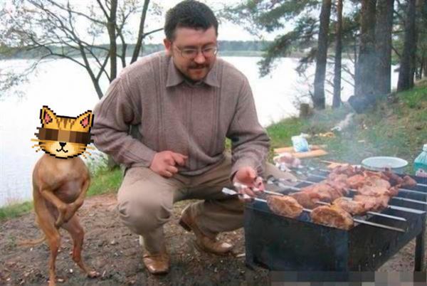 The cat waiting by a grill